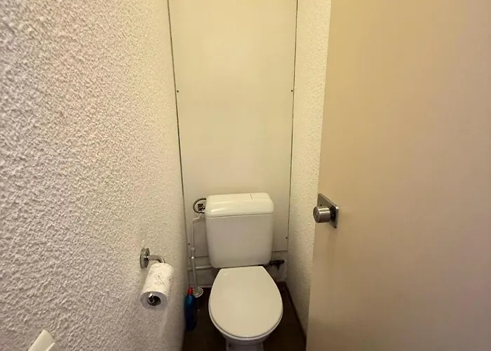 Lägenhet Les Des Arolles - Maeva - Au Pied Des Pistes Vue Montagne 4 Personnes - Selection Mae-6103 La Plagne